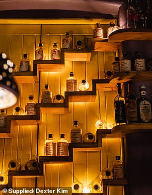 The shelves are filled with a collection of rare agave spirits from Mexico.