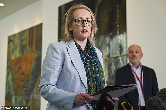 Richard Marles' chief of staff Jo Tarnawsky pictured during her press conference in Parliament on Thursday.