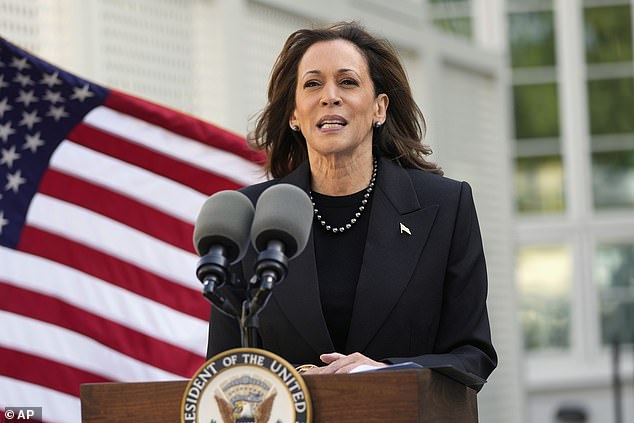 Kamala Harris' economic plans focus on relief for the middle class