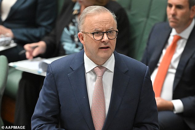 Prime Minister Anthony Albanese appears in the House of Representatives on Tuesday.