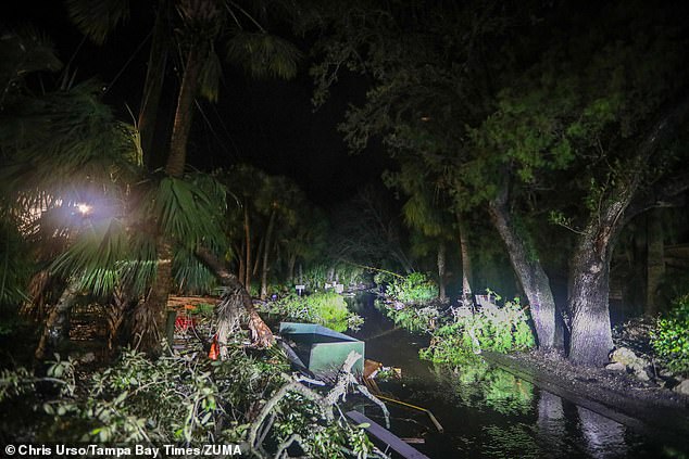 Debris along Commonwealth Drive, Siesta Key clogs the road Thursday after Hurricane Milton made landfall overnight