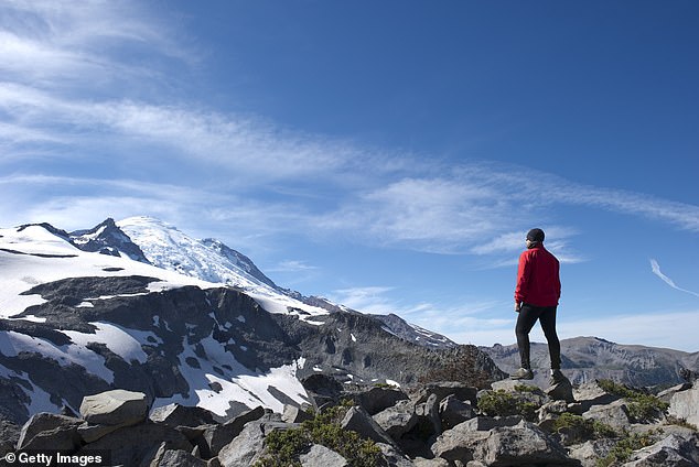 About 40 percent of Washington's mountaintops have lost their volume since 1984.