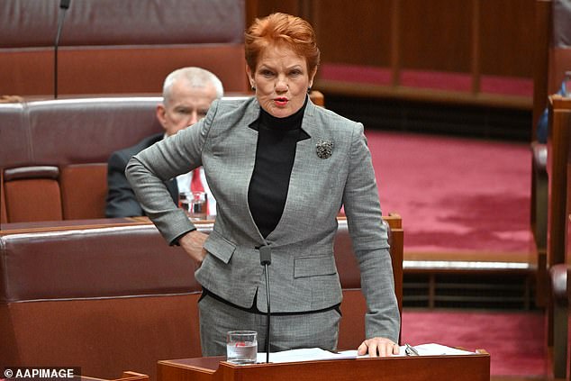 Pauline Hanson wrote a letter to the Prime Minister, citing concerns about Senator Fatima Payman's foreign citizenship.