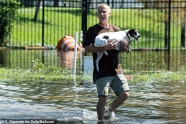 A dog is rescued amid high water on Memorial Highway in Tampa after Hurricane Milton