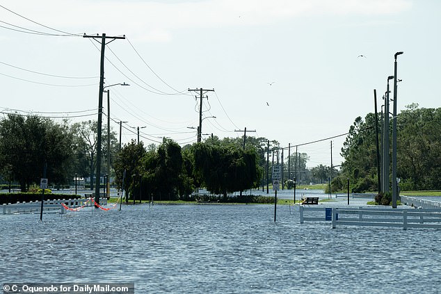 The flooding at the local racecourse was so bad that a couple turned up with a canoe, Woodfield writes.