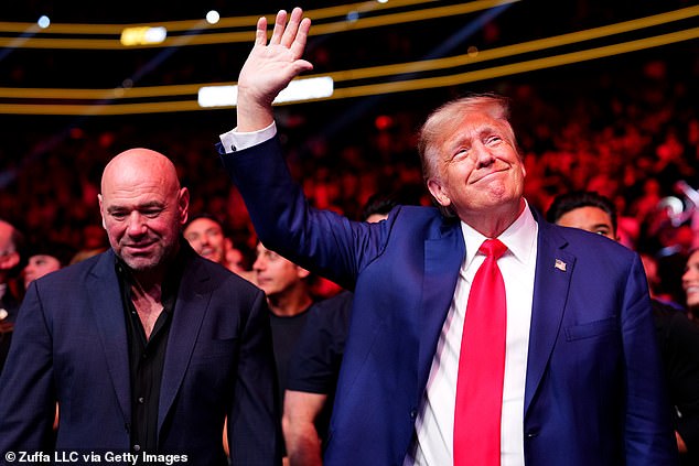 Trump often sits next to White next to the Octagon when he attends UFC events.