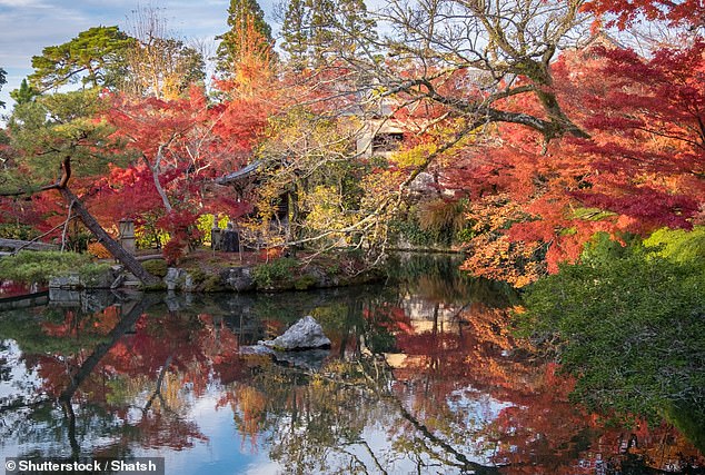 A psychotherapist and an astrologer weighed in on the theory and agreed that there are many reasons why October is so inspiring.