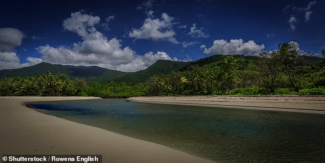 Cape Tribulation is located in the Daintree Rainforest which is famous crocodile country and the local authority website warns visitors that 