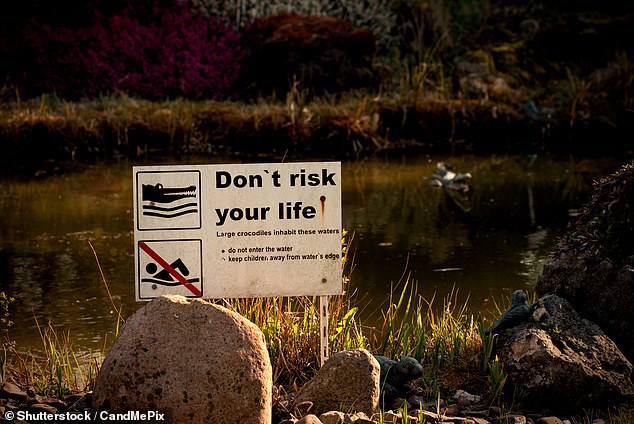 Luke criticized the group for positioning themselves so close to the water and shared that he even saw the young Australians enter the water at one point.