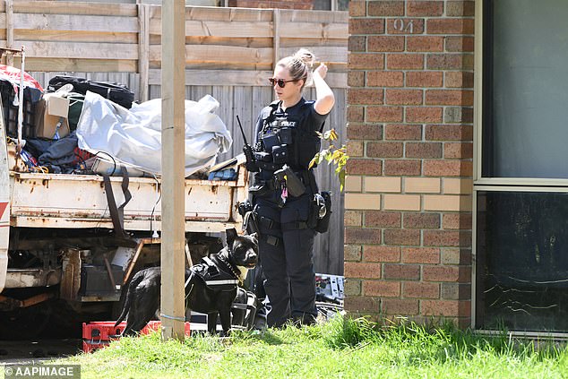 Police attempted to break up the attack using capsicum spray, but the dogs continued to attack Ms Garrett, who is in her 20s, and had to be shot dead (pictured: police at the scene).