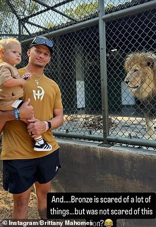 The family, who have a net worth of around $100 million, were able to privately watch a hippo feeding, before getting up close and personal with a huge lion.