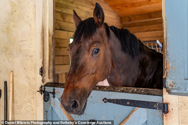 The horses will also live in the lap of luxury at this Connecticut estate.