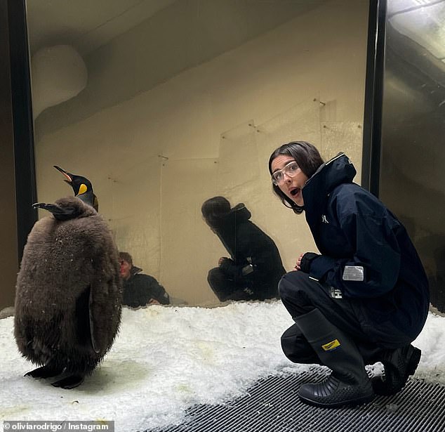 Olivia, 21, had an audience with the King Penguin, who has become famous for his impressive 23kg size and eating 25 fish a day, with videos of him racking up millions of views.