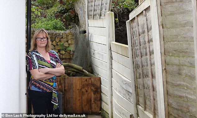 Mrs Laidler (pictured next to her damaged fence) said defiantly: 