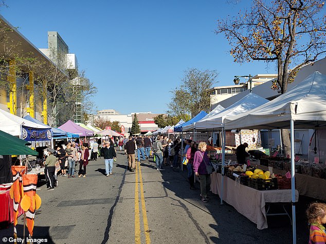 Demonstrations, dueling columns in the weekly Rossmoor News and heated disputes at the farmers' market over cardboard cutouts of presidential candidates have become the norm.