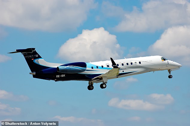 An Embraer Legacy 600 similar to the one in the accident (file image)