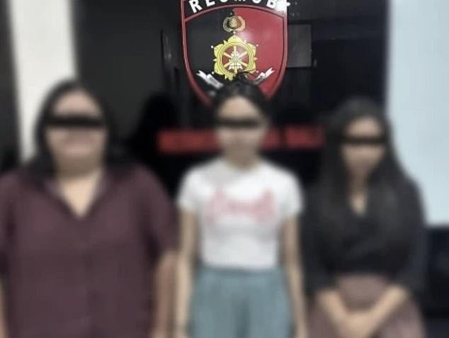 Senior Police Commissioner Jansen Avitus Panjaitan confirmed that three women had been arrested during the widespread raids (pictured) which also hit another spa.