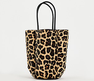 Zara Leopard Print Bucket Bag