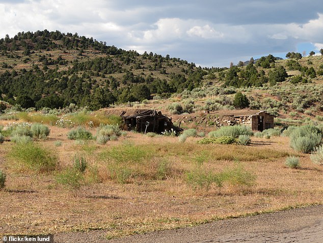 The town is close to additional accommodations at Berlin-Icthyosaur State Park and Gabbs, Nevada.