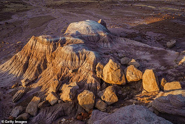 Visitors can tour the park's 218,000 acres in less than an hour, from either the north or south, and take in views of the petrified forest, badlands and the Painted Desert.