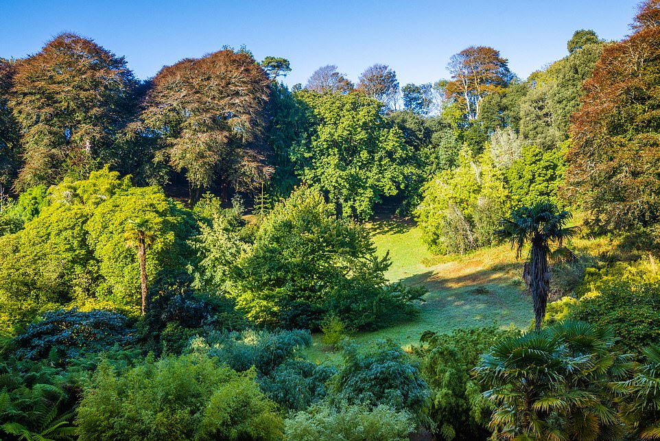 The garden contains four miles of paths with almost 200 years of planting history and is home to some of the oldest trees in the UK.