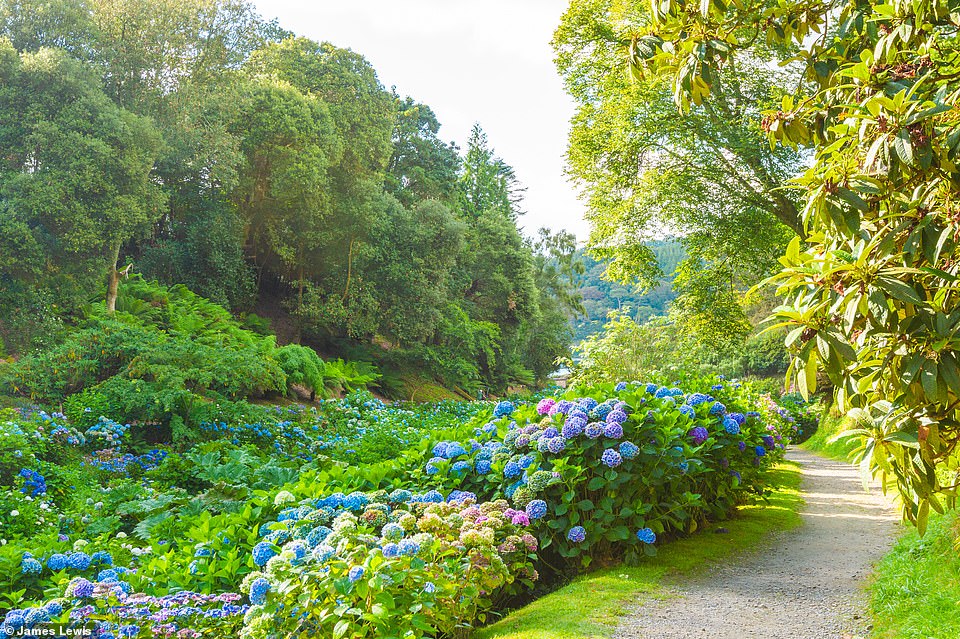 Trebah Garden is open daily from 9:30am Access is free for hostel guests and £16 for visitors.