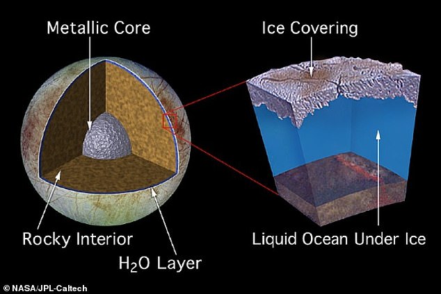 Scientists are almost certain that hidden beneath Europa's icy surface is a saltwater ocean with about twice as much water as Earth's global ocean. The illustration shows a possible model of Europe.