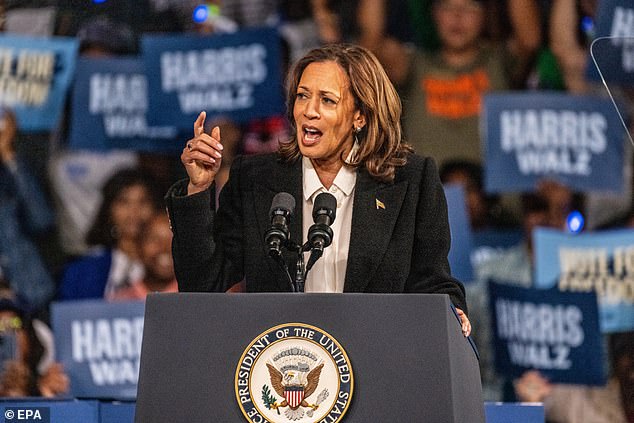 Harris' presidential campaign has been under pressure to win more votes from black men in particular, and polls reveal that she is lower in the voting bloc than Joe Biden was when he ran in 2020.