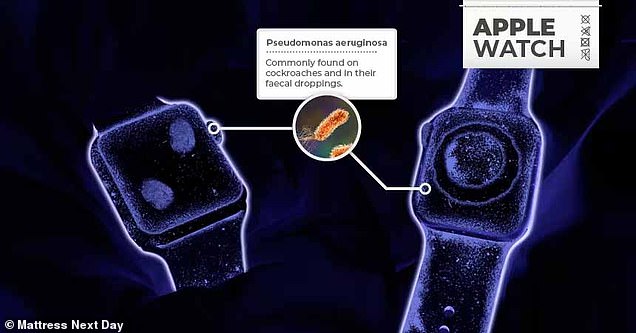 Pseudomonas aeruginosa is a bacteria commonly found in cockroach feces.