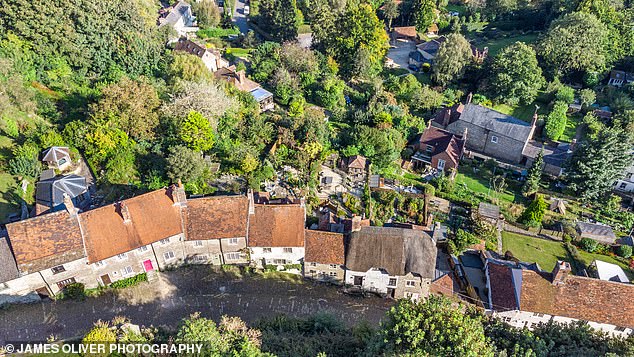 An aerial photograph showing the green gardens of Gold Hill.