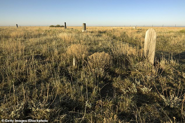 The tombstones sparsely populate the cemetery