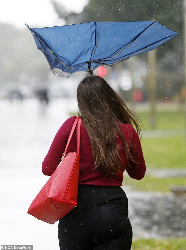 The bad news is that Sydneysiders are in for several more days of spring rain.