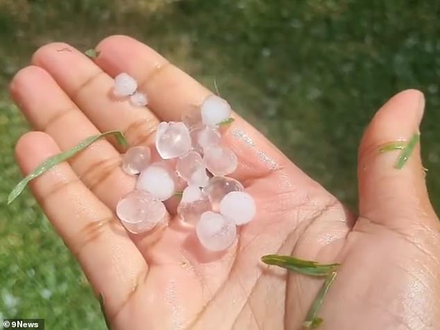 Hail (pictured) fell in parts of Sydney during a wild storm on Monday