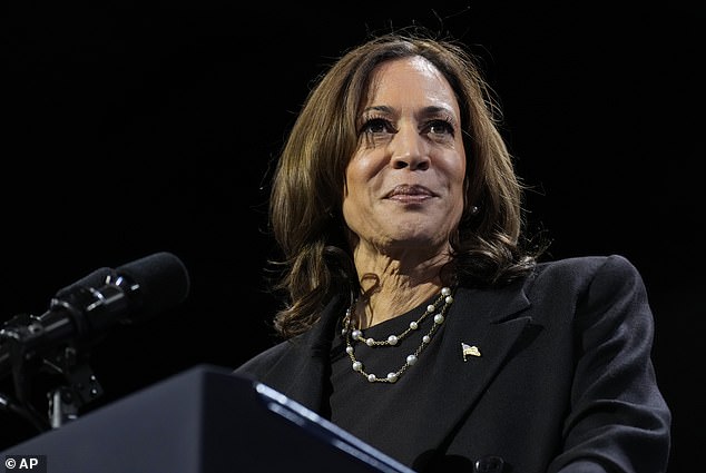 Democratic vice presidential candidate Kamala Harris speaks during a campaign rally at Erie Insurance Arena in Erie, Pennsylvania, Monday, Oct. 14, 2024.