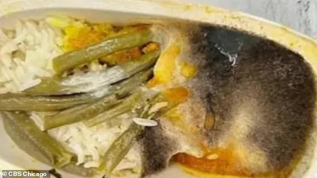 In July, a flight from Detroit to Amsterdam was forced to make an emergency landing in New York after passengers were served moldy chicken, causing several passengers to fall ill.