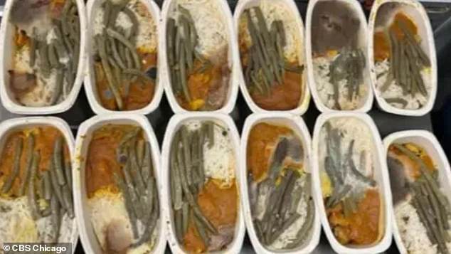 This is not the first time the cleanliness of Delta kitchens in Detroit has been questioned. Pictured, dozens of meals were found to have mold on a flight to Europe in July.