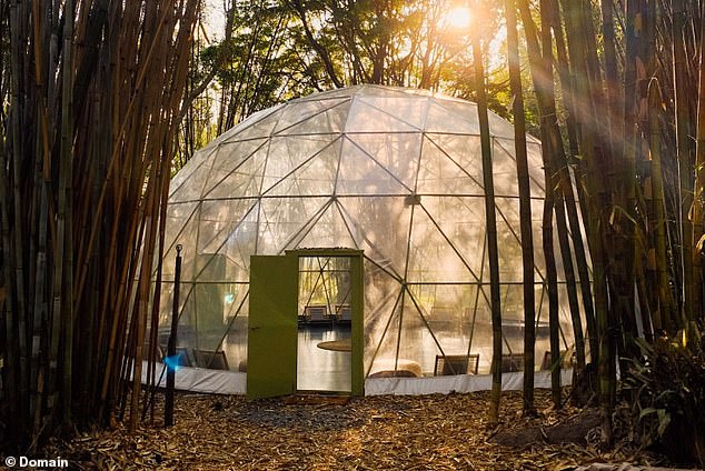 The property features a geodesic dome (pictured), an outdoor cinema and a swimming pool.