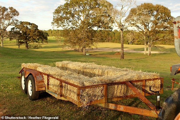 A carriage trailer (file image). Organizers said on Facebook that carriage ride passengers were unaware of the tragedy that had just occurred in front of them.