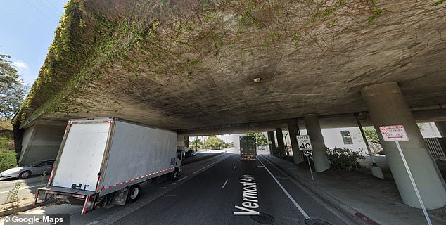 A view of weed-infested Interstate 405 crossing Vermont Avenue in Los Angeles, one of three bridges 