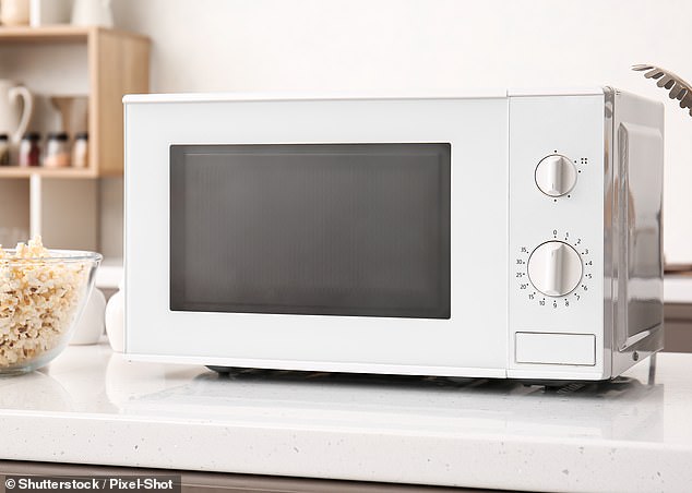 Arun also criticized some other popular kitchen 'hacks' on TikTok, such as using a microwave to dry fresh herbs and making flavored ice cubes in a countertop ice maker (file image).