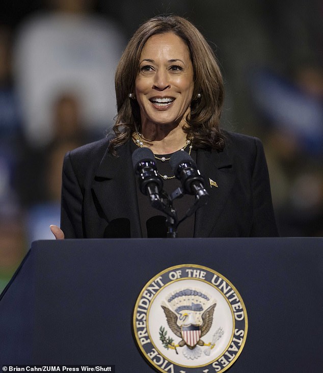 It is now clear to me that Harris will pursue a similar agenda to President Joe Biden, meaning she will direct the federal government to favor certain industries 