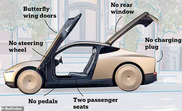 Tesla's futuristic Robotaxi will have no steering wheel, pedals or rear window. The two passengers will simply sit back and let the car drive itself.