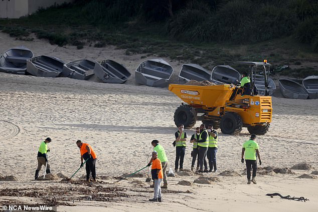 Randwick City Council workers are pictured cleaning Coogee Beach in eastern Sydney.