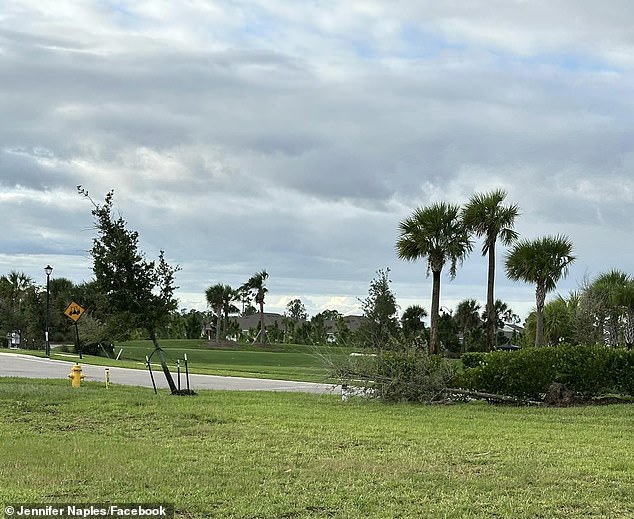 Downed trees seen at Babcock Ranch after storm