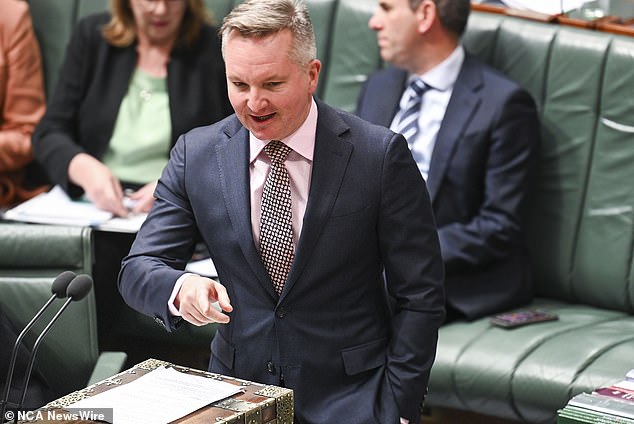 Chris Bowen will also come to Albanese's defense, stating that most average Australians will say "Alright, good for the kid, leave him alone."'