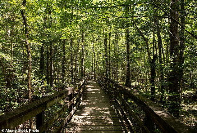 The day after she disappeared, the Richland County Sheriff's Department located her vehicle more than 20 miles from her home in a parking lot on Palmetto Trail (pictured).