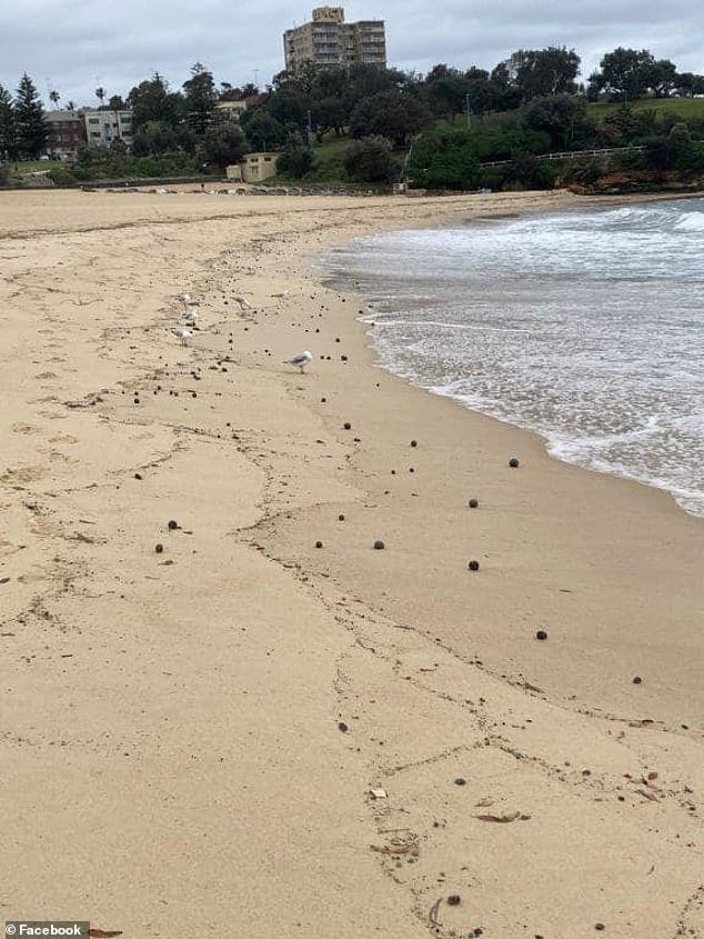 1729060975 606 Mysterious black balls that washed up on one of Australias