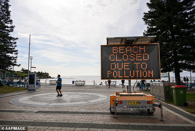 1729060977 834 Mysterious black balls that washed up on one of Australias