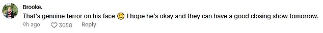 Meanwhile, in the original video on TikTok, other fans said: 'Watching him give the signal is too scary!! I'm glad everyone is safe.'