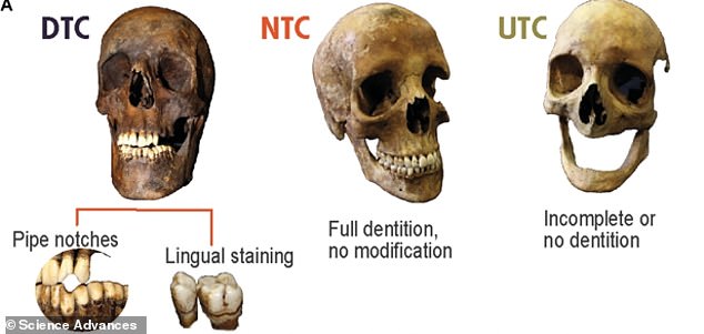 The researchers studied bones from detected tobacco users (DTC) and undetected tobacco users (NTC). Many archaeological individuals have poorly preserved dental remains or lose teeth before death, categorizing them as indeterminate tobacco users (UTC).